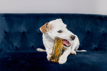 Charger l'image dans la galerie, Bâton de Mastication de Moelle Osseuse pour Chiens