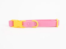Charger l'image dans la galerie, Collier coloré et durable pour chiens | approved by fritz