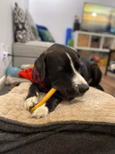 Charger l'image dans la galerie, Bellerive bâton de collagène 9" pour chiens - hygiène et santé