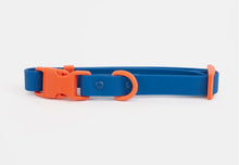 Charger l'image dans la galerie, Collier coloré et durable pour chiens | approved by fritz