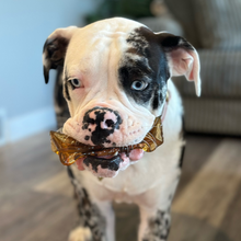 Charger l'image dans la galerie, Bâton de Mastication de Moelle Osseuse pour Chiens
