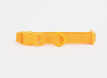 Charger l'image dans la galerie, Collier coloré et durable pour chiens | approved by fritz
