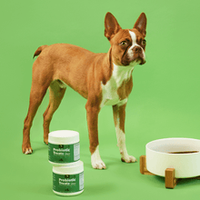 Charger l'image dans la galerie, Friandises probiotiques pour chiens Petpal - santé intestinale & immunité
