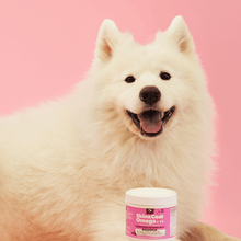 Charger l'image dans la galerie, Petpal skin & coat omega soft - compléments alimentaires naturels pour chiens