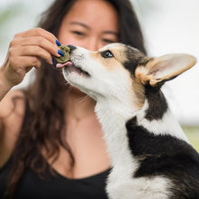 Charger l'image dans la galerie, Pattes vertes oméga-3 au moringa – gâterie santé pour chiens