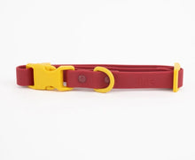 Charger l'image dans la galerie, Collier coloré et durable pour chiens | approved by fritz
