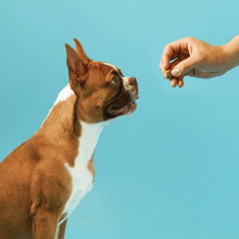 Charger l'image dans la galerie, Petpal - gâteries naturelles pour chiens : santé hanches & articulations