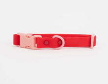 Charger l'image dans la galerie, Collier coloré et durable pour chiens | approved by fritz