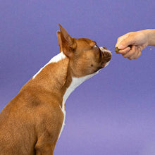 Charger l'image dans la galerie, Petpal - friandises molles antiallergiques pour chiens