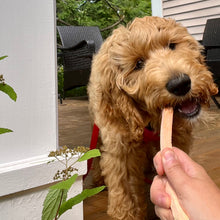 Charger l'image dans la galerie, Compagnon poilu - frites de patates douces lyophilisées pour chiens
