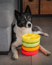 Charger l'image dans la galerie, Bol ralentisseur agrume – 3 en 1 | Dog’s Crush (7″)