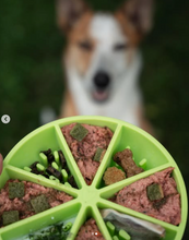 Charger l'image dans la galerie, Bol ralentisseur agrume – 3 en 1 | Dog’s Crush (7″)