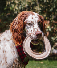 Charger l'image dans la galerie, Anneau de jeu en cuir et laine pour chiens – tall tails – 7"