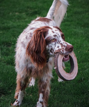 Charger l'image dans la galerie, Anneau de jeu en cuir et laine pour chiens – tall tails – 7"