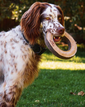 Charger l'image dans la galerie, Anneau de jeu en cuir et laine pour chiens – tall tails – 7"