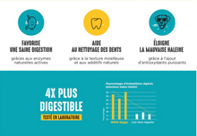 Charger l'image dans la galerie, Gâterie dentaire en bandes à la vanille et menthe pour chien - 30 bandes