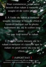 Charger l'image dans la galerie, Collier anti-tiques en pierres em sur mesure | boutique länkē