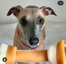 Charger l'image dans la galerie, Mak's patch os végétarien pour chien - tomates, menthe & beurre de cacahuète