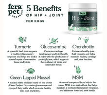 Charger l'image dans la galerie, Supplément Fera Pets au curcuma – 90 bouchées