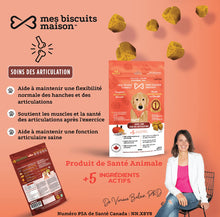 Charger l'image dans la galerie, Biscuits Supplément Hypoallergéniques à la citrouille / Hanches et Articulations (170 g - environ 95 bouchées)