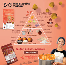 Charger l'image dans la galerie, Biscuits Supplément Hypoallergéniques à la citrouille / Hanches et Articulations (170 g - environ 95 bouchées)