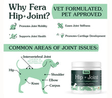 Charger l'image dans la galerie, Supplément Fera Pets au curcuma – 90 bouchées