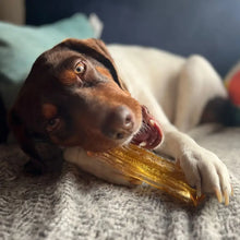 Charger l'image dans la galerie, Bâton de Mastication de Moelle Osseuse pour Chiens