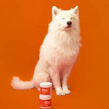 Charger l'image dans la galerie, Gâteries multivitamines molles pour chiens - Petpal