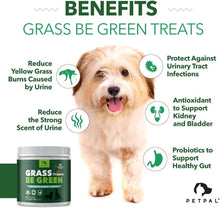 Charger l'image dans la galerie, Friandises douces Petpal green grass pour chiens - complément naturel