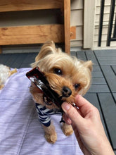 Charger l'image dans la galerie, Bâton de Mastication de Moelle Osseuse pour Chiens