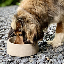 Charger l'image dans la galerie, Bol pour chien épur béton : élégance et robustesse artisanale