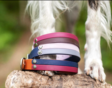 Charger l'image dans la galerie, Collier en cuir végétalien 3 tons pour chien - élégance et confort | vgan dog