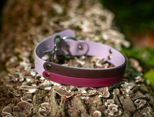 Charger l'image dans la galerie, Collier en cuir végétalien 3 tons pour chien - élégance et confort | vgan dog