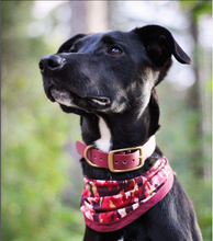 Charger l'image dans la galerie, Collier classique en cuir végétalien pour chiens - vgan dog