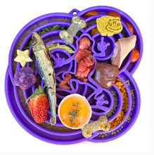 Charger l'image dans la galerie, Bol ralentisseur pour chiens "water frog" - Sodapup