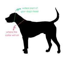 Charger l'image dans la galerie, Collier d'identification en cuir végétalien pour chiens - vgan dog