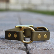 Charger l'image dans la galerie, Collier d'identification en cuir végétalien pour chiens - vgan dog