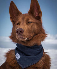 Charger l'image dans la galerie, Bandana rafraîchissant pour chien - wolf republic