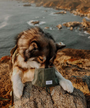 Charger l'image dans la galerie, Gamelle pliable en tissu pour chien - idéale randonnées | wolf republic