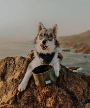 Charger l'image dans la galerie, Gamelle pliable en tissu pour chien - idéale randonnées | wolf republic