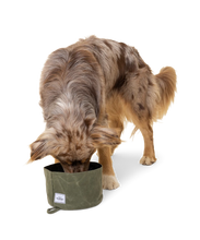 Charger l'image dans la galerie, Gamelle pliable en tissu pour chien - idéale randonnées | wolf republic