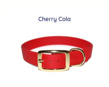 Charger l'image dans la galerie, collier pour chien végétalien