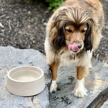 Charger l'image dans la galerie, Bol pour chien épur béton : élégance et robustesse artisanale