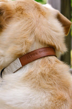 Charger l'image dans la galerie, Collier écologique alpha oméga en cuir végan et chanvre