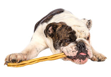 Charger l'image dans la galerie, Bâton de collagène pour chiens 12" - naturel & sain | qt dog
