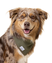 Charger l'image dans la galerie, Bandana rafraîchissant pour chien - wolf republic