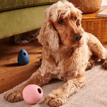 Charger l&#39;image dans la galerie, Wobble Ball - Distributeur de Gâteries de Beco Pets
