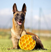 Charger l&#39;image dans la galerie, Bol ralentisseur Honeycomb à alimentation lente pour chiens
