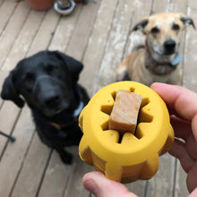 Charger l&#39;image dans la galerie, Jouet à Mâcher Innovant pour Chiens - Modèle &quot;Gear&quot; avec Porte-Friandises-LARGE
