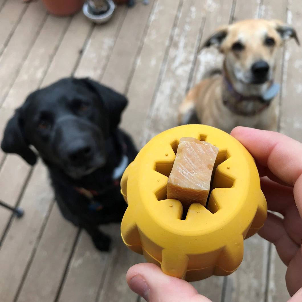 Jouet à Mâcher Innovant pour Chiens - Modèle 